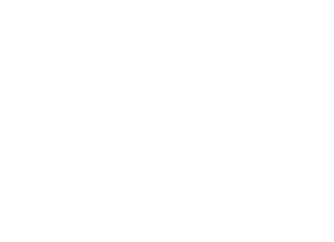 White Logo